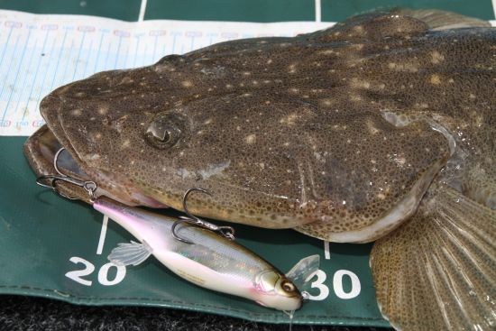 Pic: Mick Fletoridis